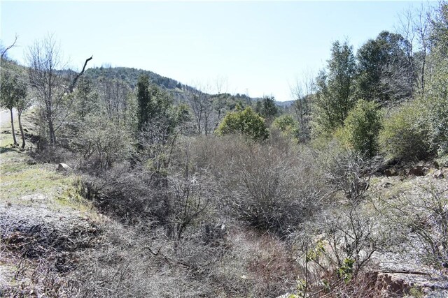 0 Oak Ln, Julian, CA 92036 - photo 4