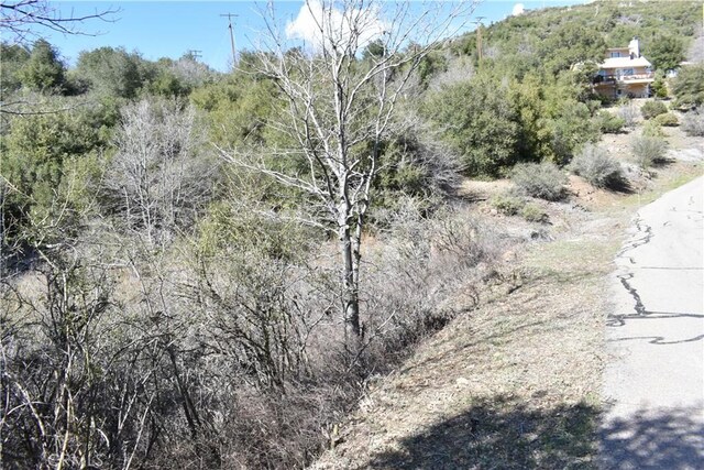 0 Oak Ln, Julian, CA 92036 - photo 14