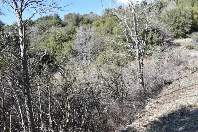 0 Oak Ln, Julian, CA 92036 - photo 16