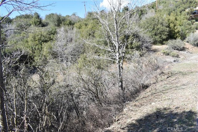 0 Oak Ln, Julian, CA 92036 - photo 15
