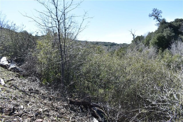0 Oak Ln, Julian, CA 92036 - photo 27