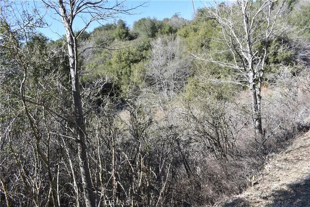 0 Oak Ln, Julian, CA 92036 - photo 17