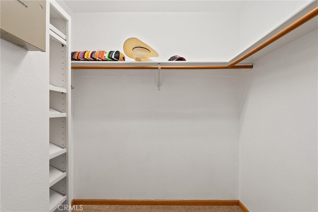 spacious closet with carpet