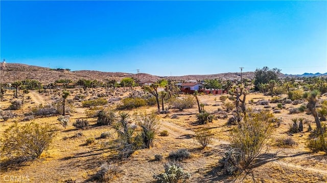 1 Buena Vis, Yucca Valley, CA 92252 - photo 10