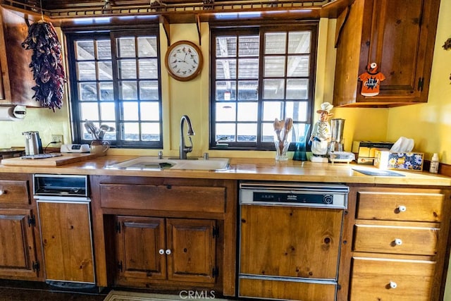 kitchen with a wealth of natural light, dishwasher, and sink