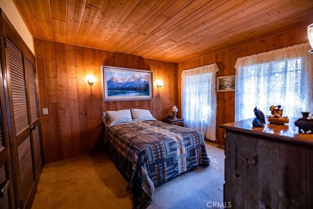 carpeted bedroom featuring wood walls, a closet, and multiple windows