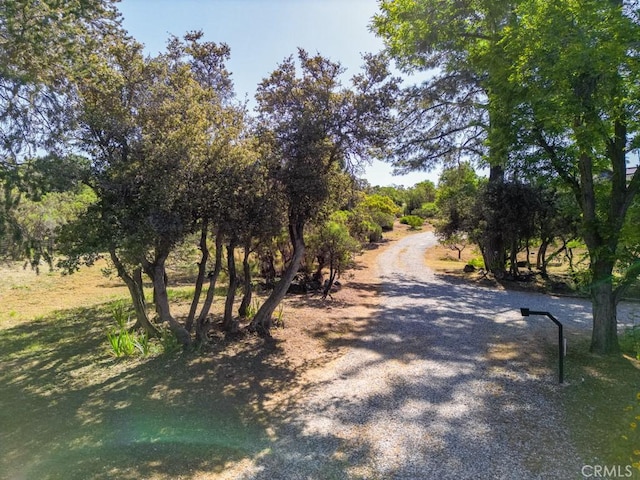 view of road