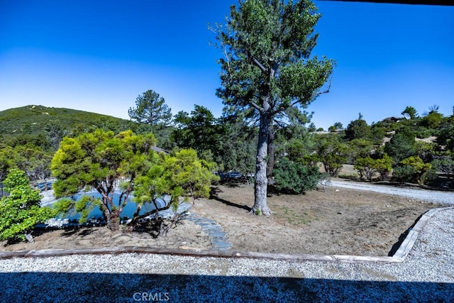 view of yard with a mountain view