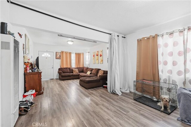 living room with wood-type flooring