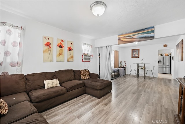 living room featuring light wood-type flooring