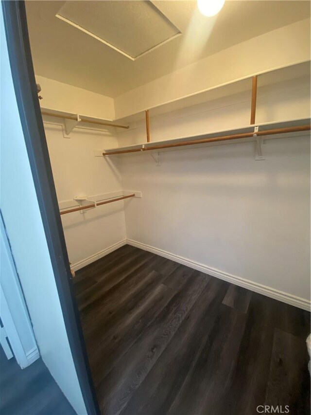 spacious closet with dark hardwood / wood-style floors