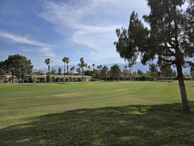 view of property's community with a yard