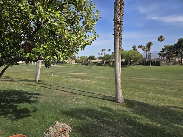 view of home's community with a lawn