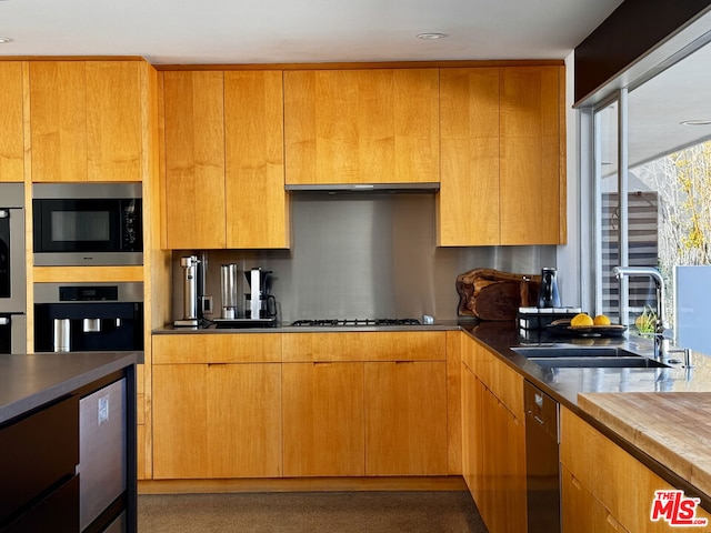 kitchen with range hood, stainless steel appliances, tasteful backsplash, and sink