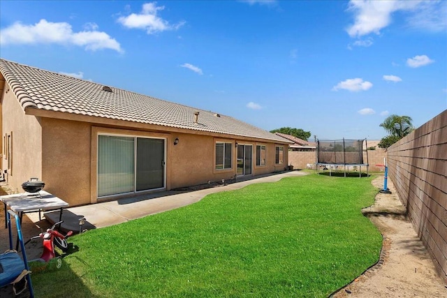 back of property with a yard, a patio, and a trampoline