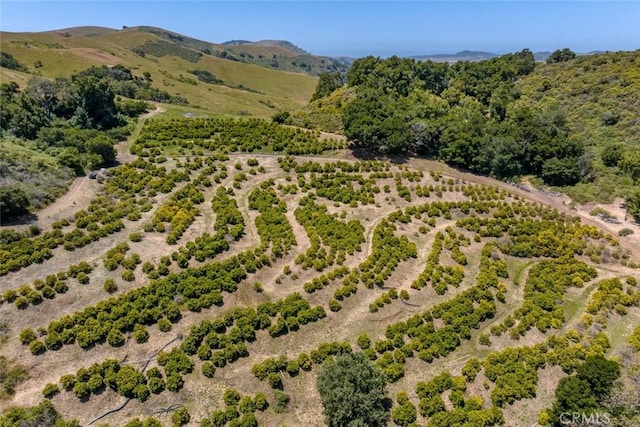 birds eye view of property with a mountain view