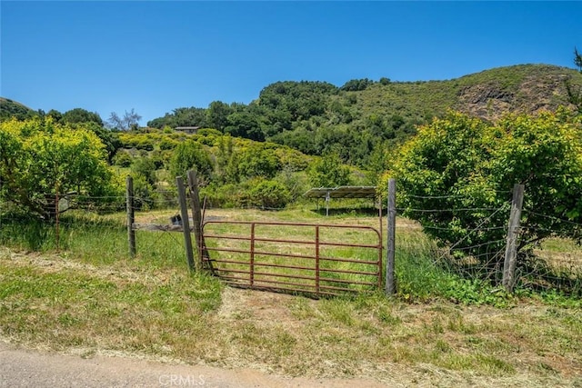 view of gate with a rural view