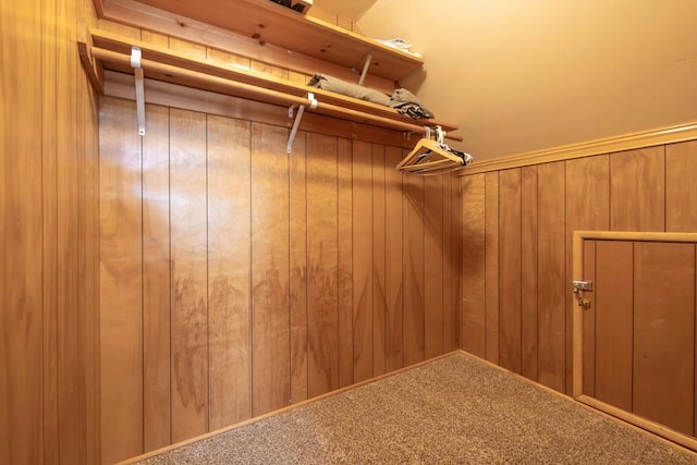 spacious closet with carpet flooring