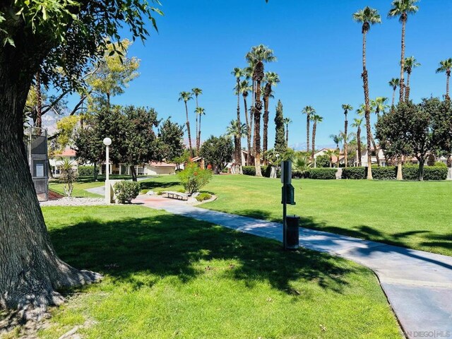 view of community featuring a lawn