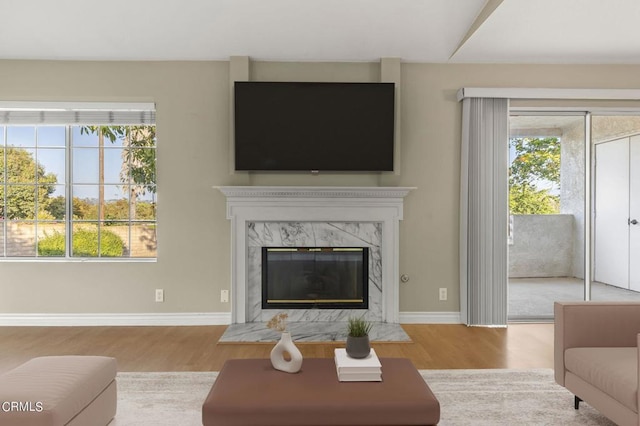 living room featuring a premium fireplace and light hardwood / wood-style floors