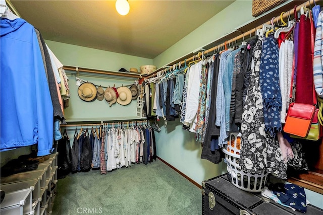 walk in closet with carpet floors