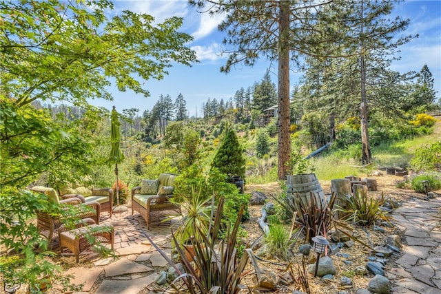 view of yard with a patio area and an outdoor hangout area