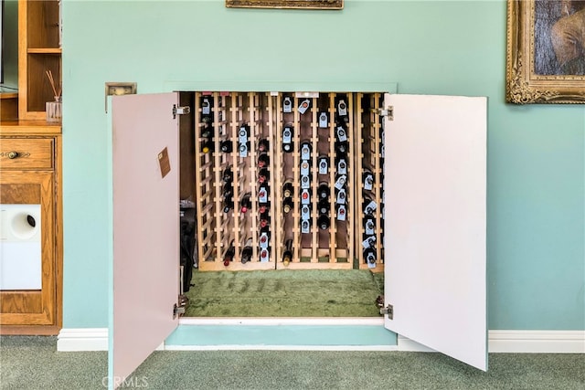 wine cellar featuring carpet