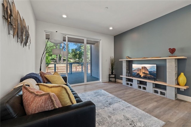 living room featuring hardwood / wood-style floors