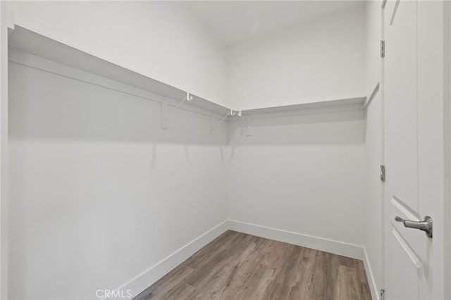 spacious closet with hardwood / wood-style flooring