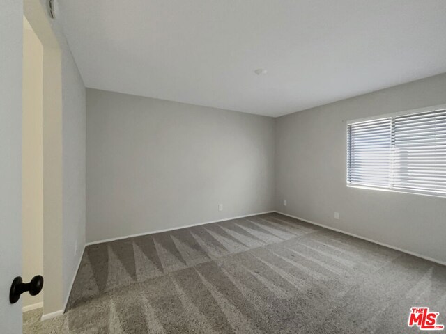 empty room featuring carpet