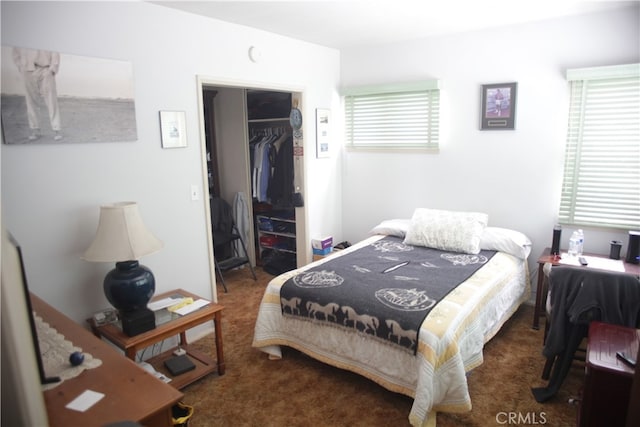 bedroom with multiple windows, a closet, dark carpet, and a spacious closet