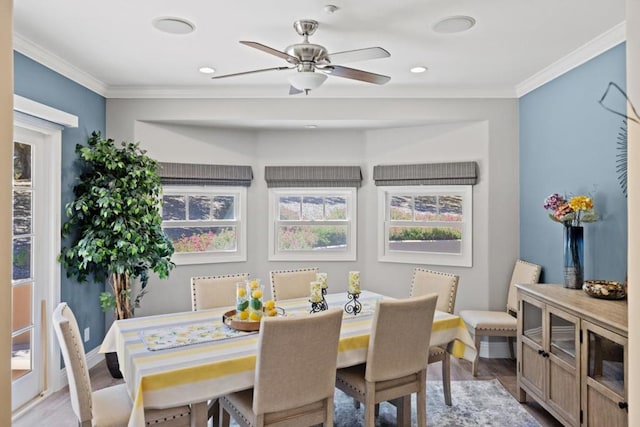 dining space with crown molding, light hardwood / wood-style flooring, and ceiling fan