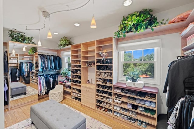 spacious closet featuring hardwood / wood-style flooring