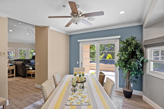 dining room with plenty of natural light, ceiling fan, light wood-type flooring, and crown molding