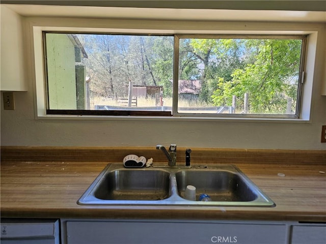 kitchen featuring sink