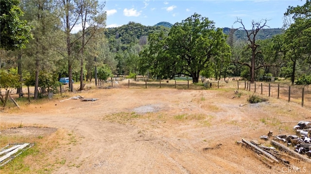 view of yard with a rural view