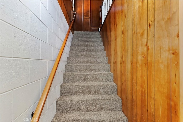 staircase featuring carpet floors