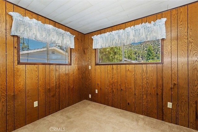 carpeted empty room featuring wood walls