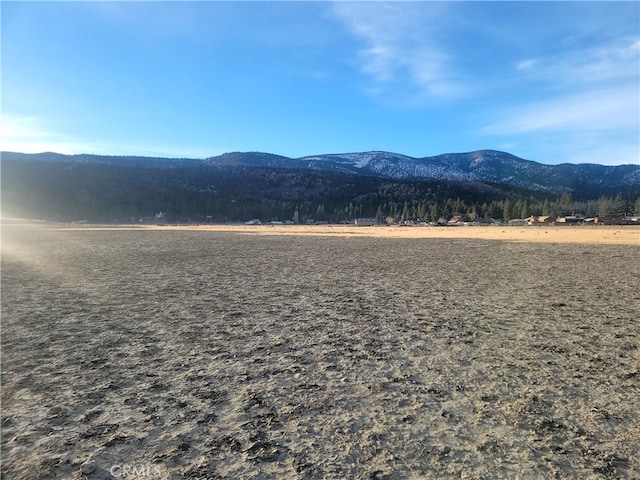 Listing photo 2 for 2750 Erwin Ranch Rd, Big Bear City CA 92314