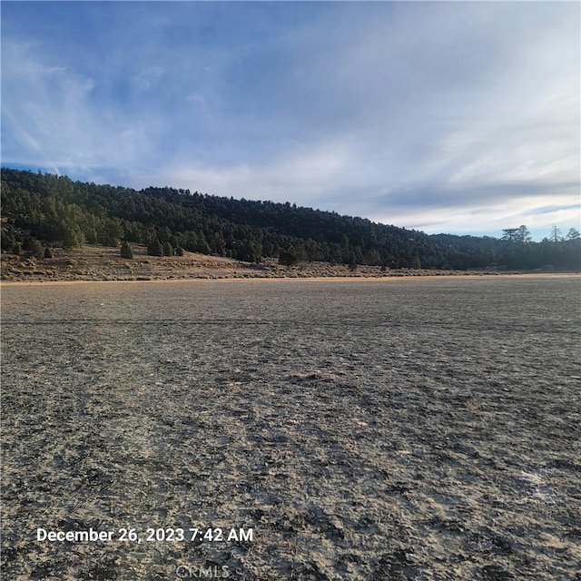 Listing photo 3 for 2750 Erwin Ranch Rd, Big Bear City CA 92314