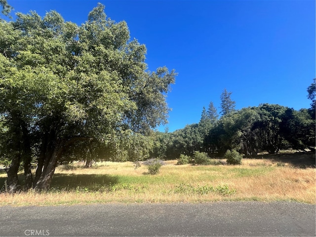 Listing photo 3 for 6065 Monte Vista Ln, Mariposa CA 95338