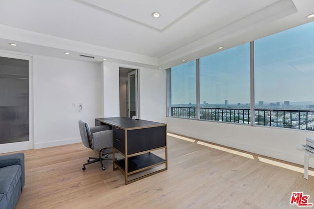 office space with hardwood / wood-style floors and a raised ceiling