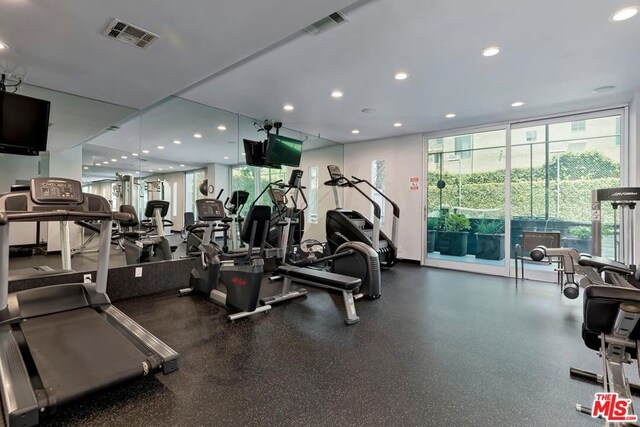 gym with floor to ceiling windows