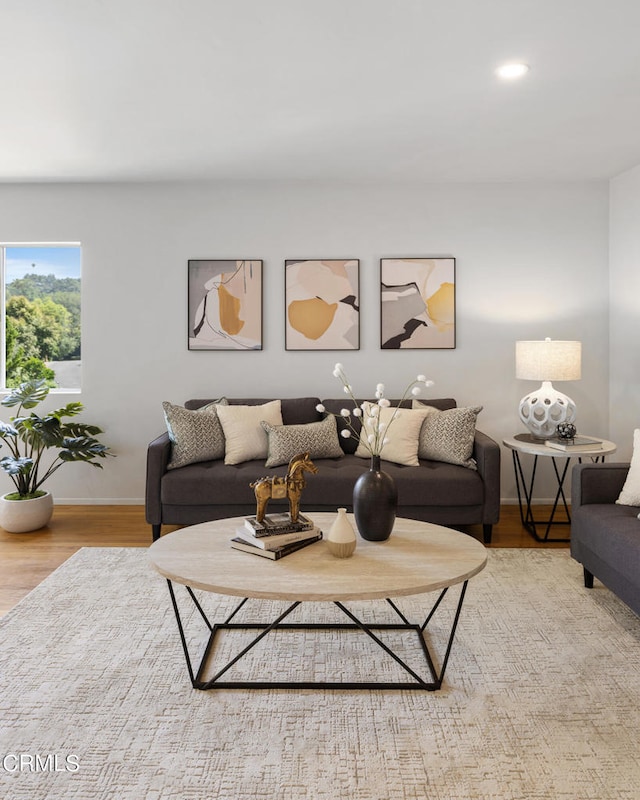 living room featuring light hardwood / wood-style floors