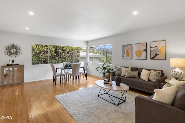 living room featuring light hardwood / wood-style flooring