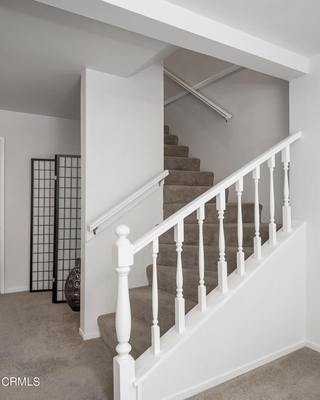 stairs featuring carpet floors