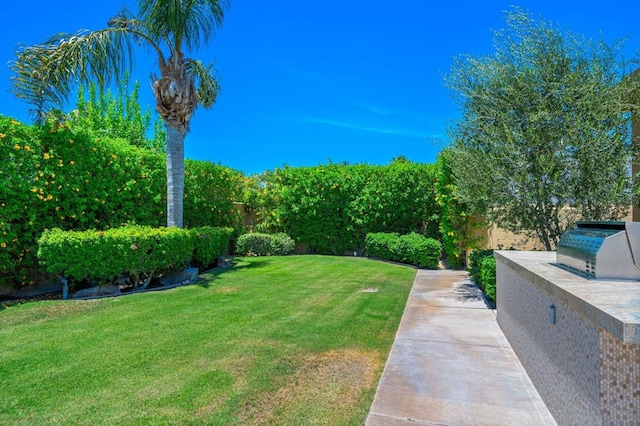 view of yard with exterior kitchen