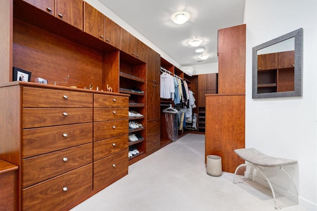 spacious closet featuring light colored carpet