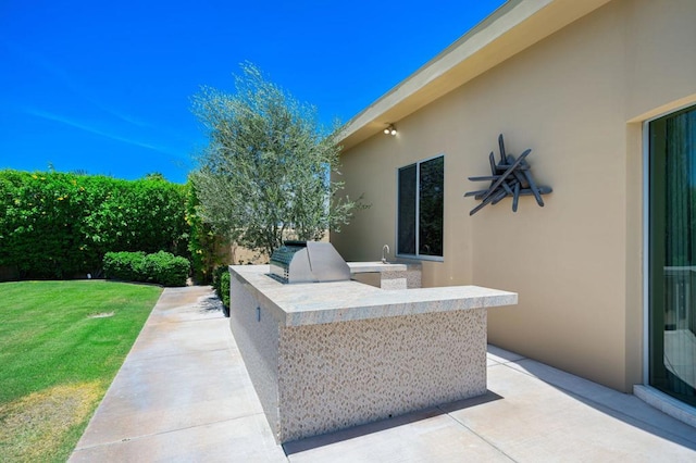 view of patio featuring exterior kitchen