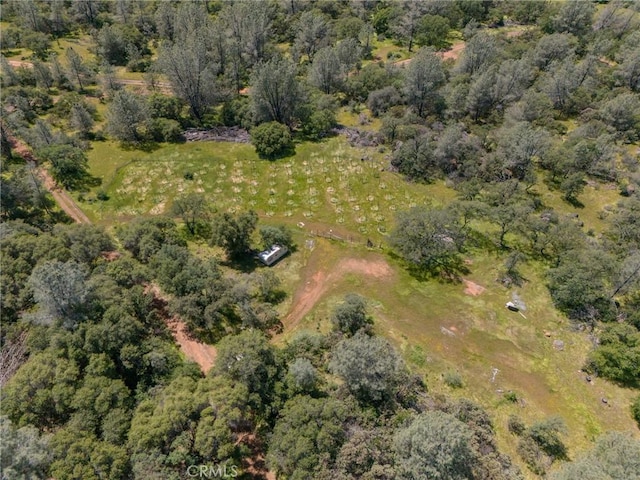 5 Oregon Gulch Rd, Oroville, CA 95965 - photo 8